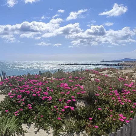 Apartamento Saint-Cyprien Plage, Charmant Studio Meuble Vue Mer Habitación foto