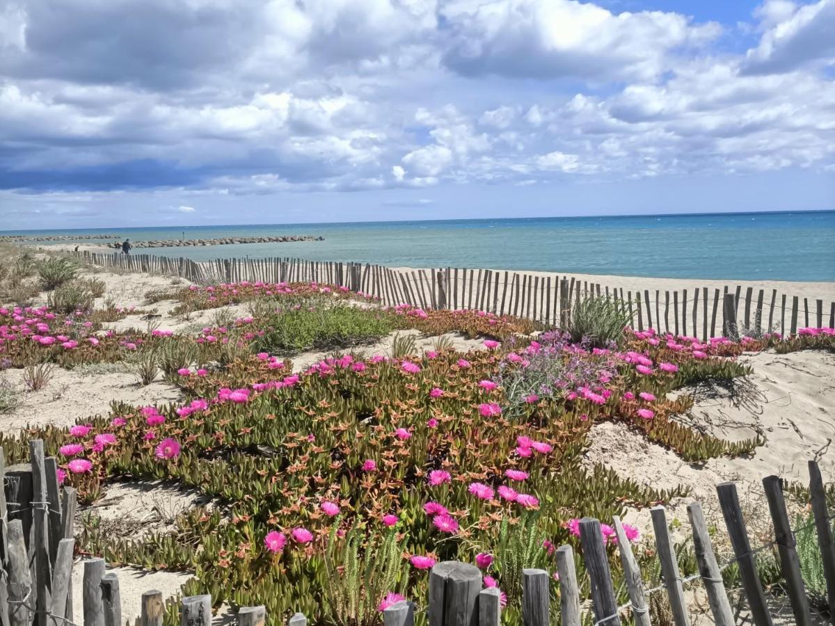 Apartamento Saint-Cyprien Plage, Charmant Studio Meuble Vue Mer Exterior foto