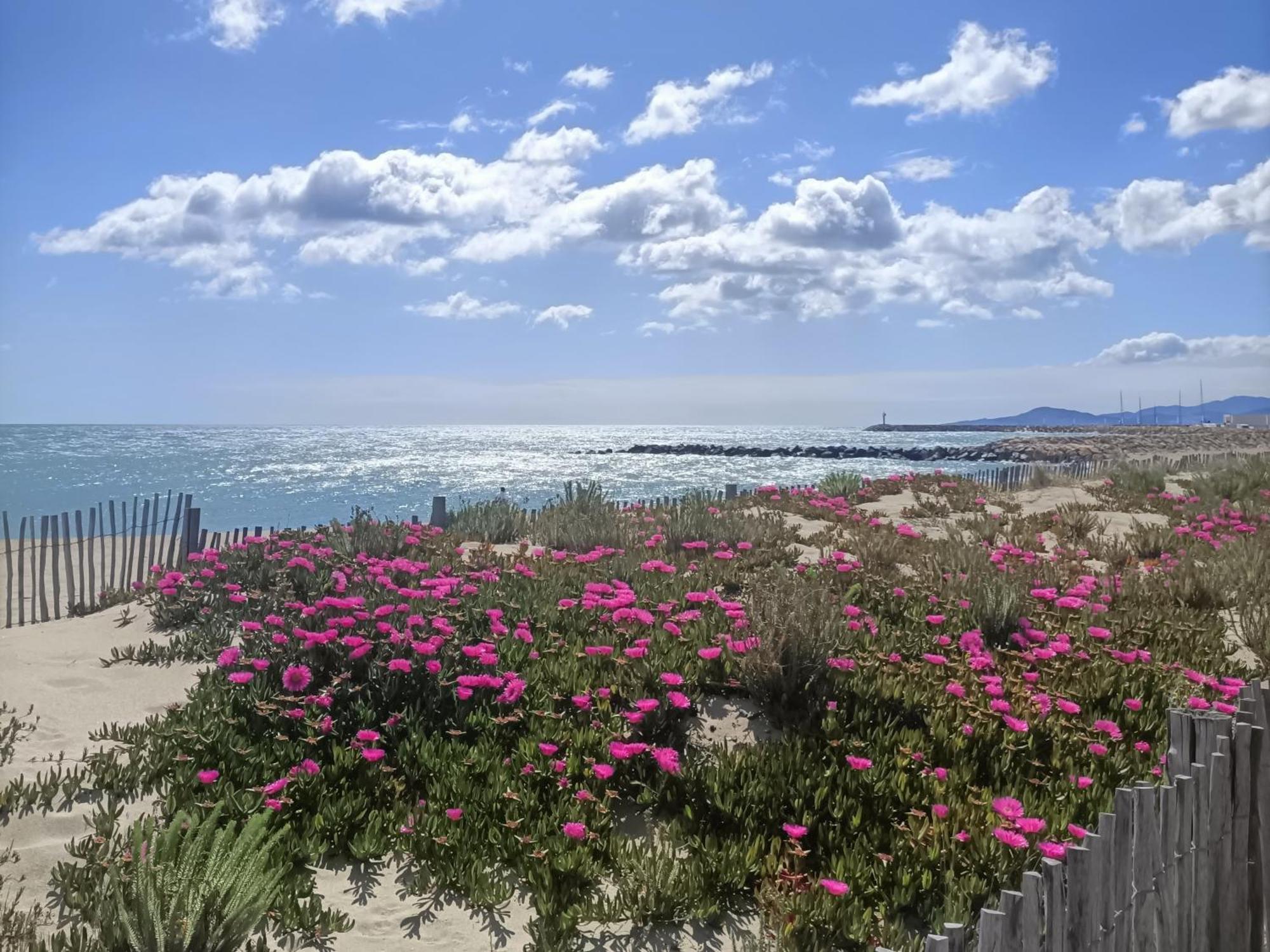 Apartamento Saint-Cyprien Plage, Charmant Studio Meuble Vue Mer Habitación foto